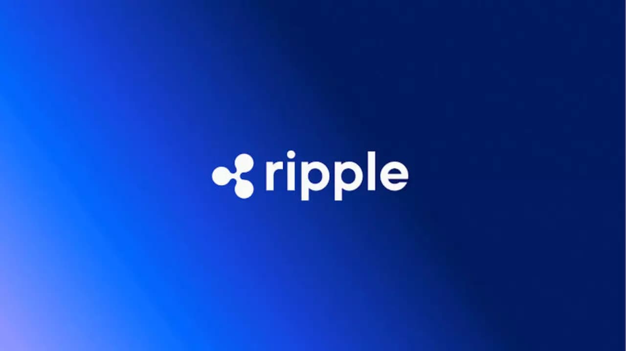 Ripple lança University Digital Asset Xcelerator (UDAX) no Brasil para impulsionar ecossistema do XRP
