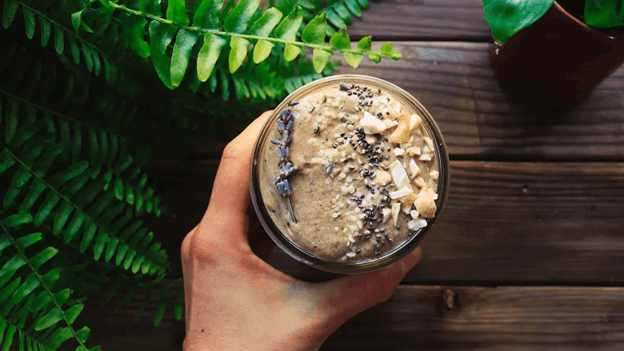 Free Protein Shake and Fitness Product Samples